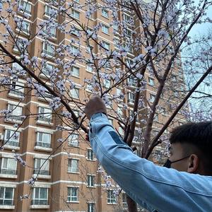 国产69精品久久久久777
