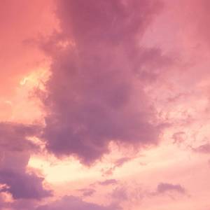 最新美国色情网址
