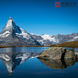 最新美国色情网址
